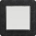 Sedna rocker switch (white insert, slate matte frame)